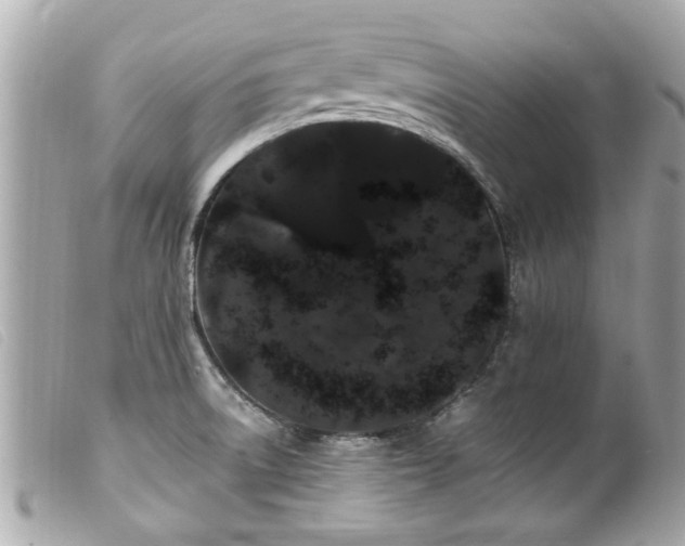 X0000100221522200805301336
