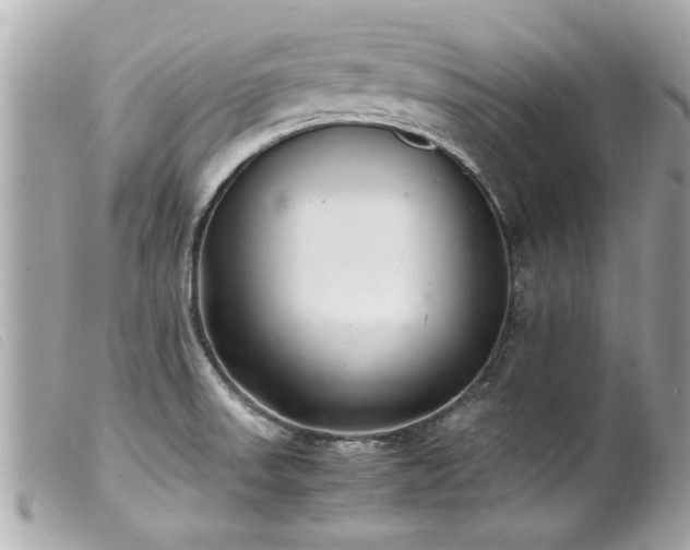 X0000100221523200805301336