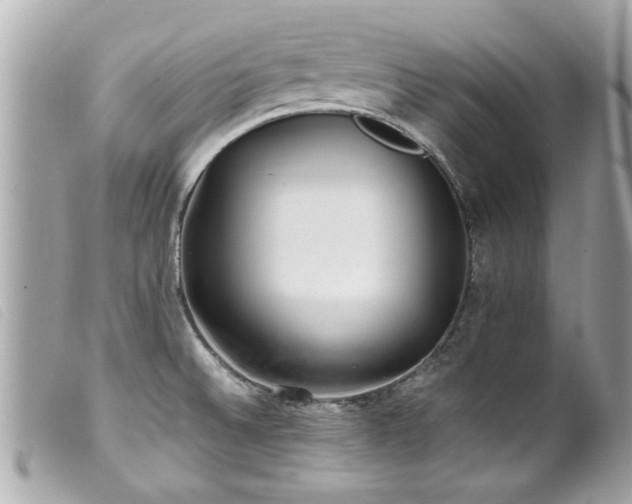 X0000100221524200805301336