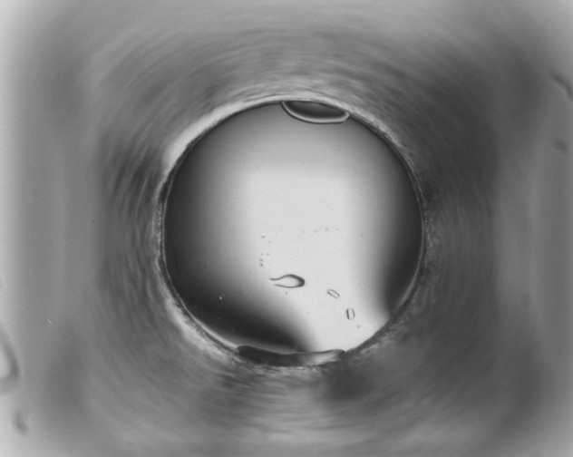 X0000100221526200805301336
