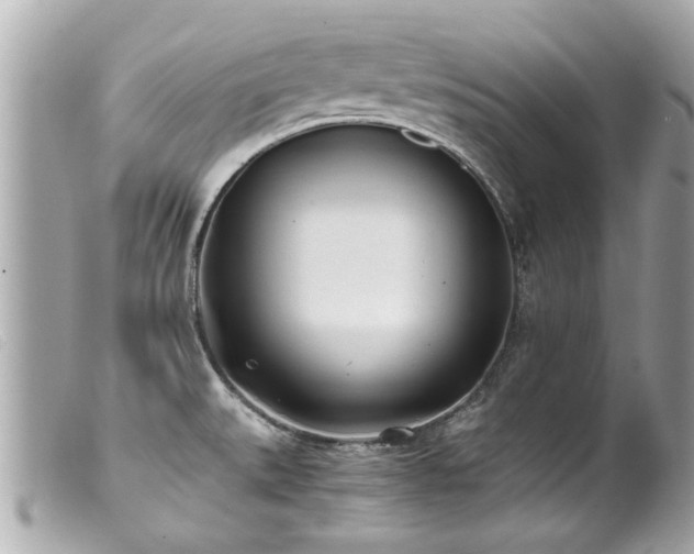 X0000100221527200805301336