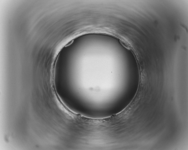 X0000100221528200805301336