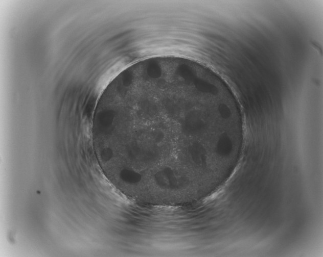 X0000100221529200805301336