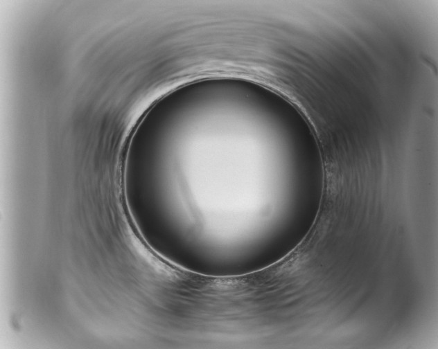 X0000100221531200805301336