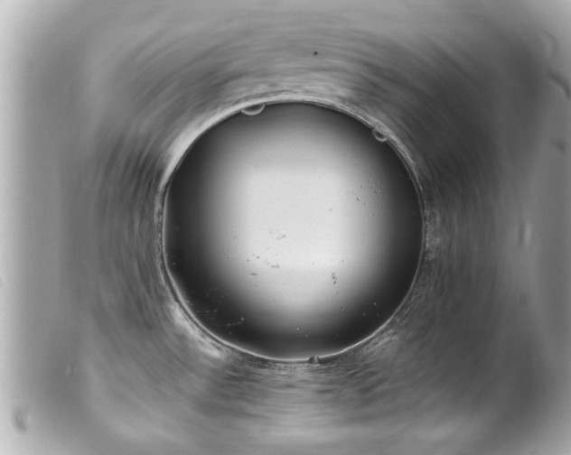 X0000100221532200805301336