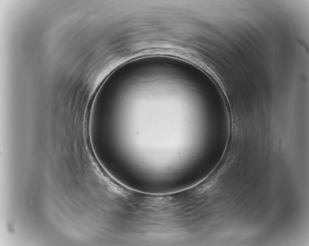 X0000100221533200805301336