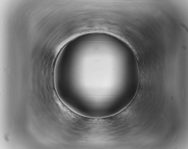 X0000100221534200805301336