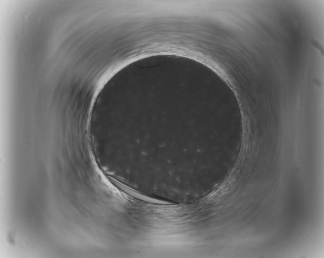 X0000100221536200805301336