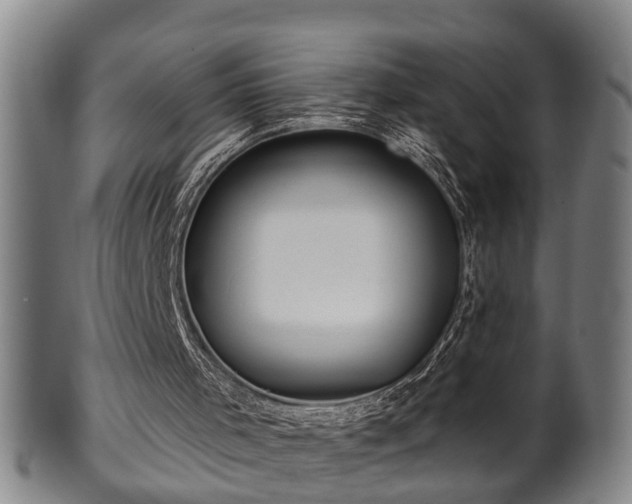 X0000100220001200806061356