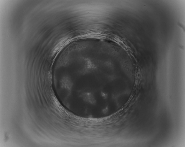 X0000100220002200806061356