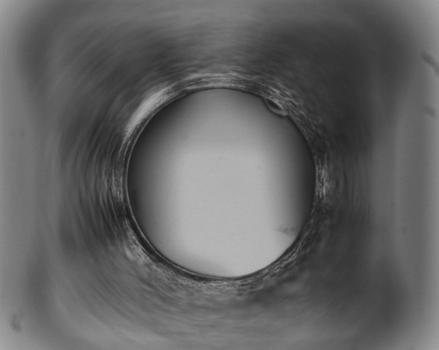 X0000100220004200806061356