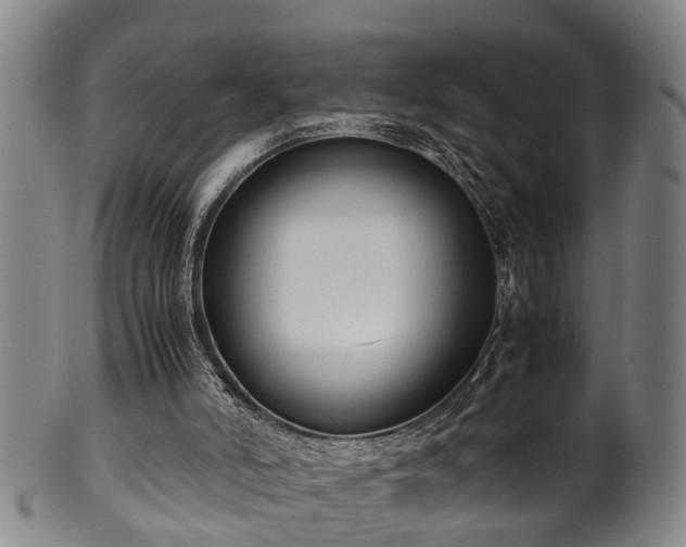 X0000100220006200806061356