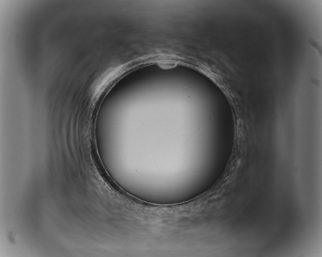 X0000100220007200806061356