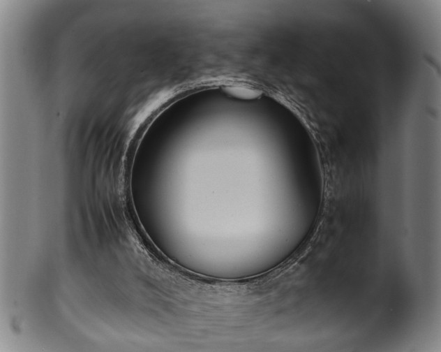 X0000100220008200806061356