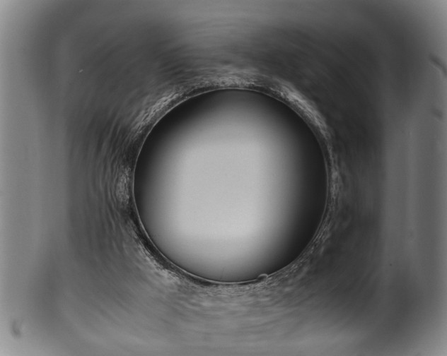 X0000100220009200806061356