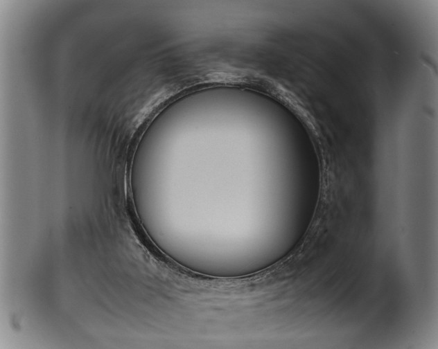 X0000100220011200806061356