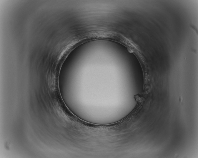 X0000100220012200806061356