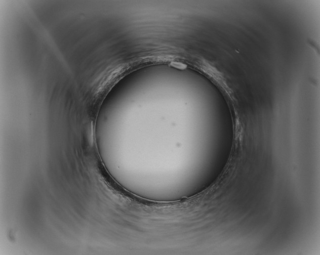 X0000100220013200806061356