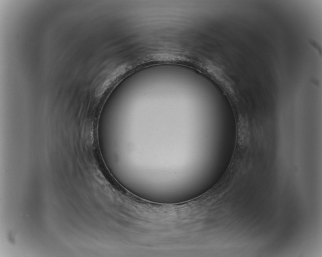 X0000100220015200806061356