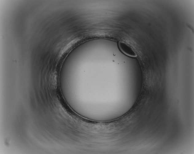 X0000100220016200806061356