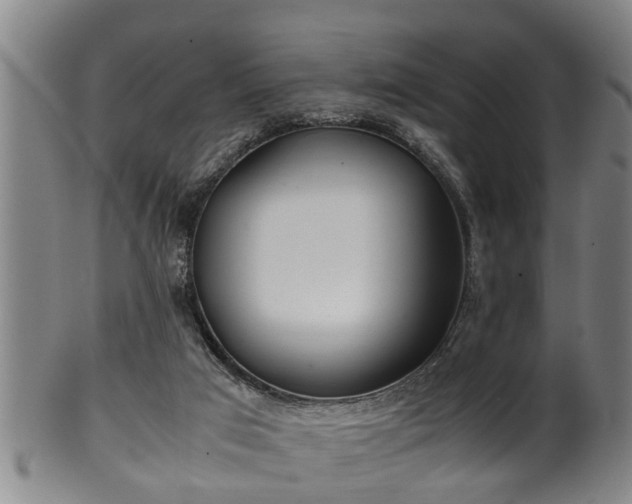 X0000100220017200806061356