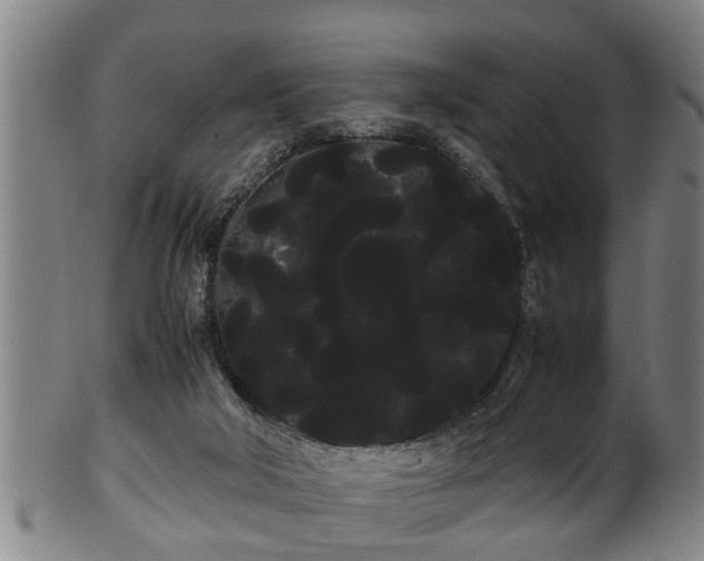 X0000100220018200806061356