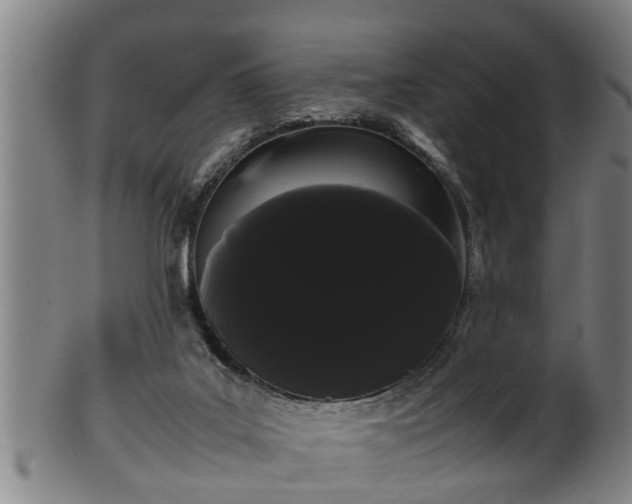 X0000100220019200806061356