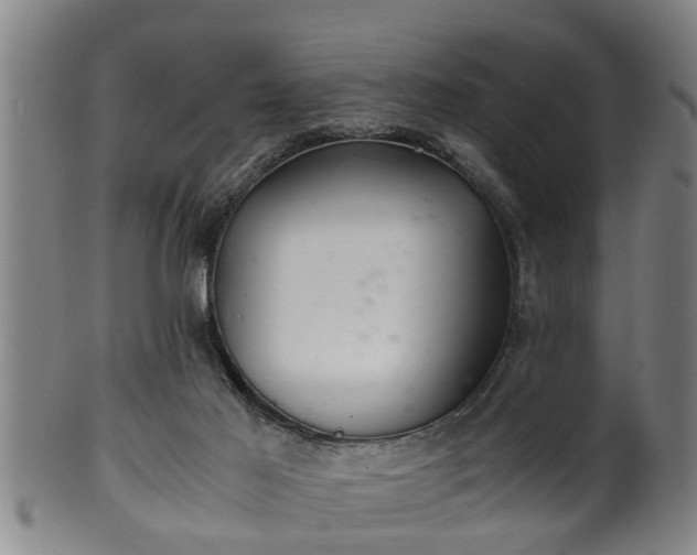 X0000100220021200806061356