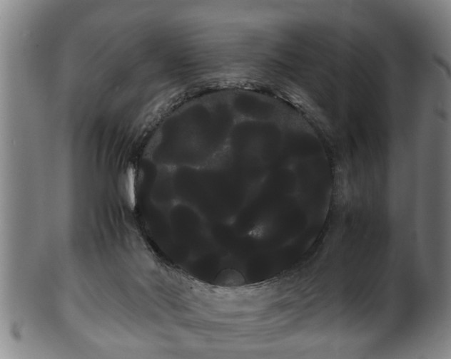 X0000100220022200806061356