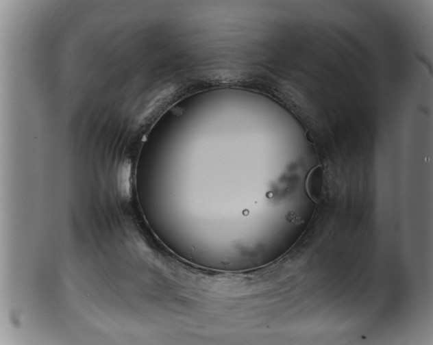 X0000100220024200806061356