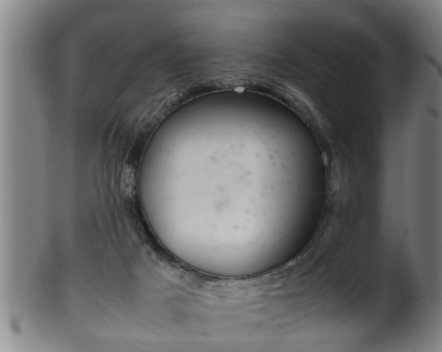 X0000100220025200806061355