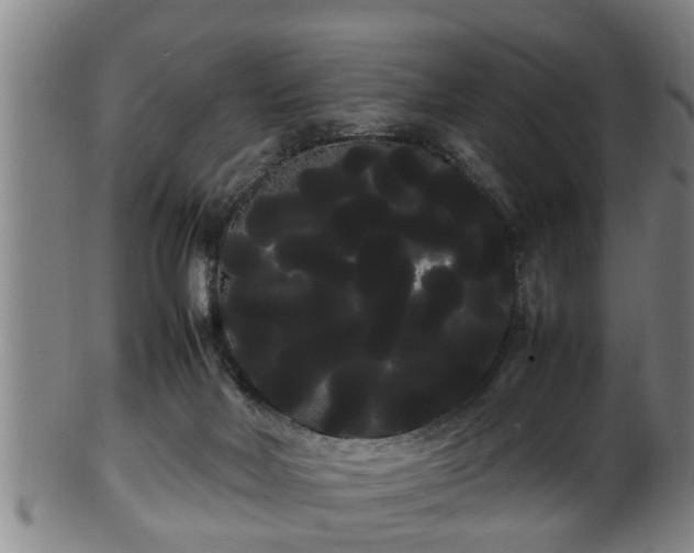 X0000100220026200806061355