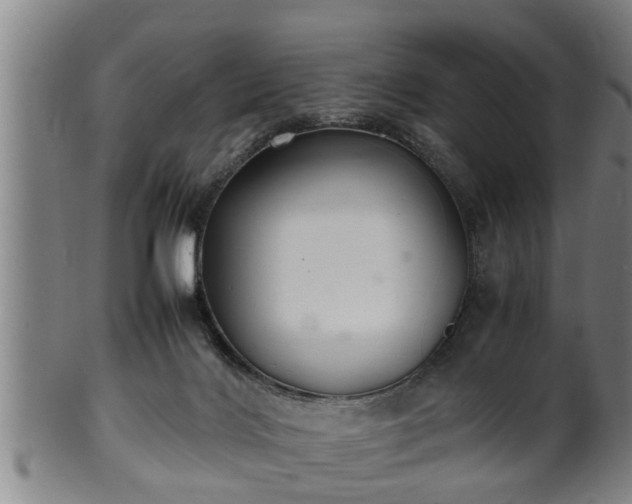 X0000100220028200806061355