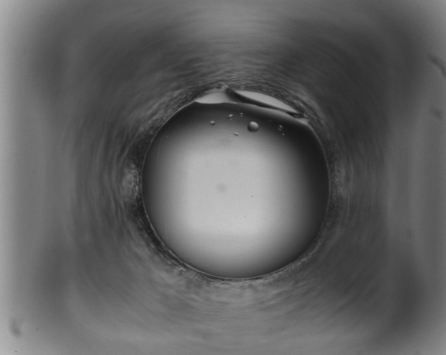 X0000100220029200806061355