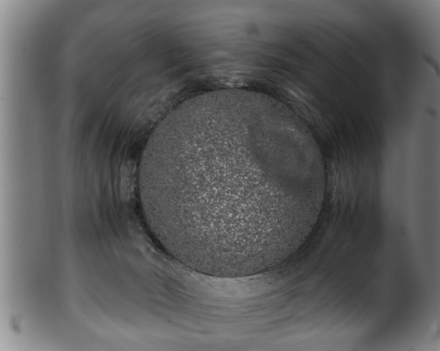 X0000100220030200806061355