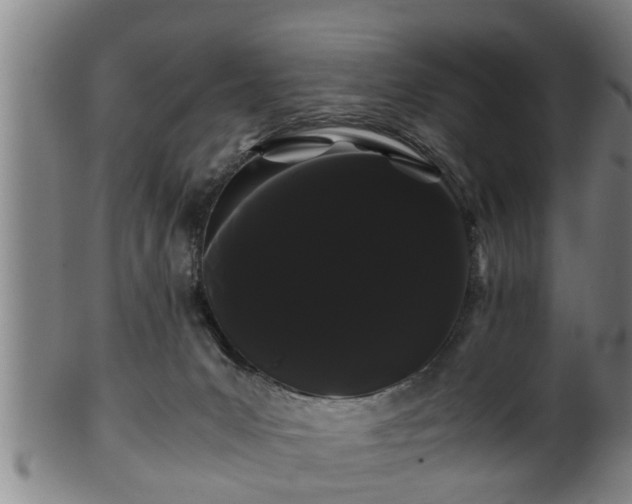 X0000100220031200806061355