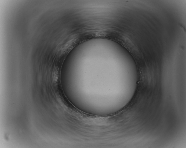 X0000100220032200806061355