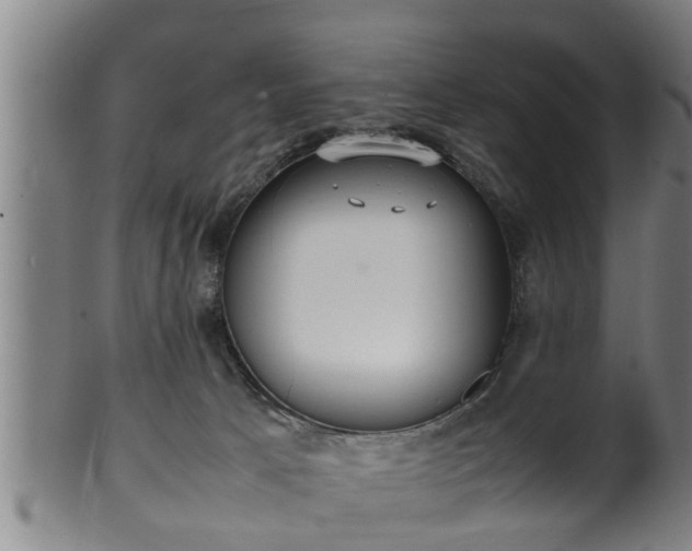 X0000100220033200806061355