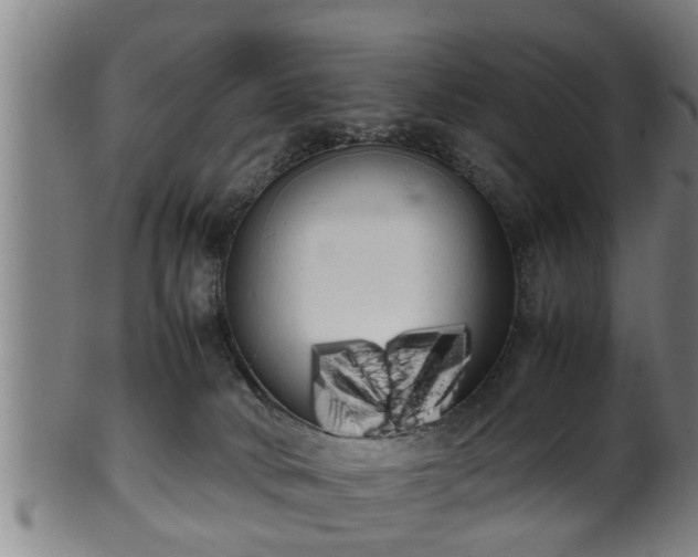 X0000100220034200806061355