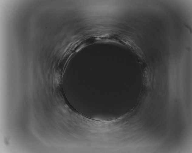 X0000100220035200806061355