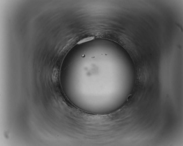 X0000100220036200806061355