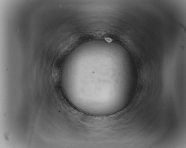 X0000100220037200806061355