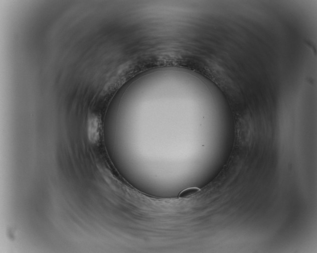 X0000100220038200806061355