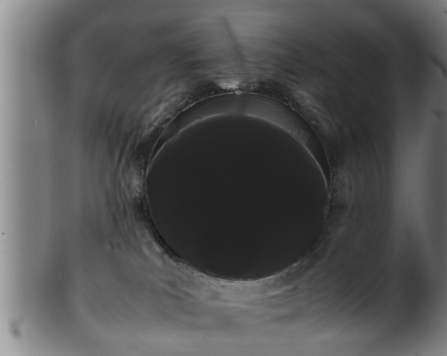 X0000100220039200806061355