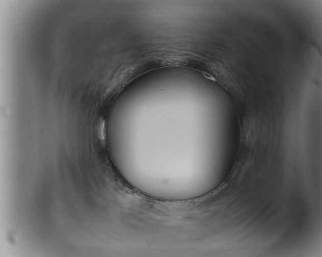 X0000100220041200806061355