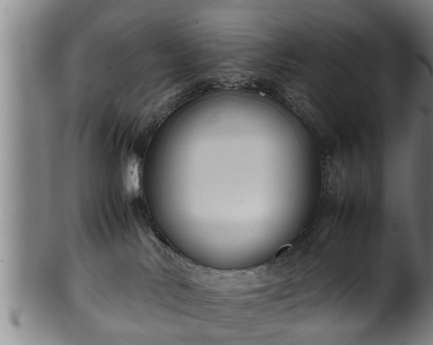 X0000100220042200806061355