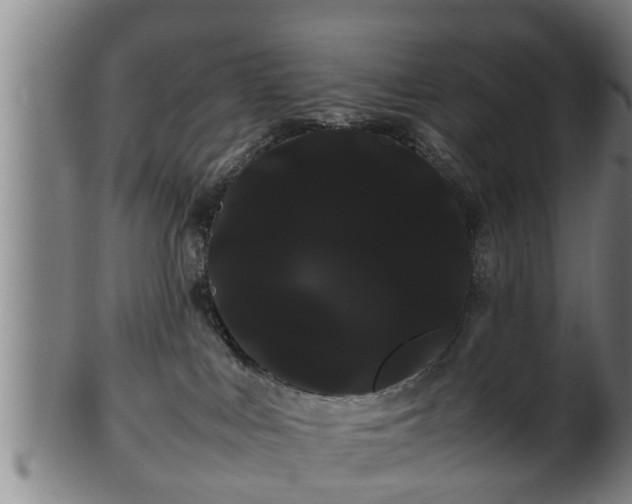 X0000100220043200806061355