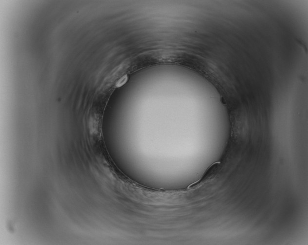 X0000100220044200806061355