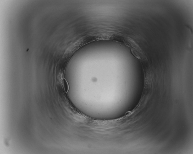 X0000100220045200806061355