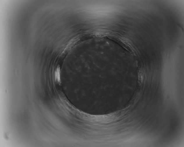 X0000100220046200806061355